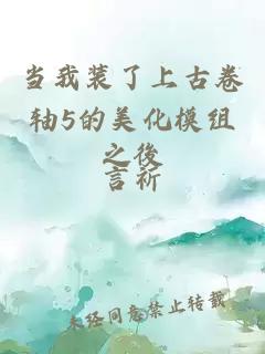 当我装了上古卷轴5的美化模组之後