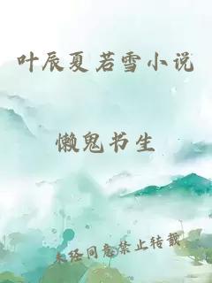 叶辰夏若雪小说