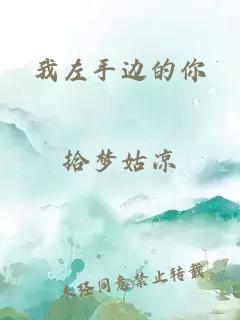我左手边的你